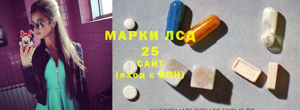 прущие грибы Бородино
