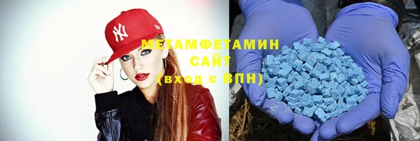 прущие грибы Бородино