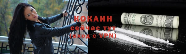 прущие грибы Бородино
