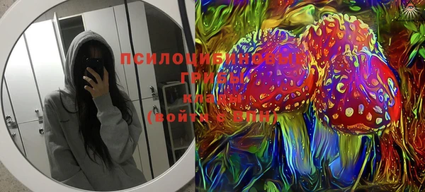 прущие грибы Бородино