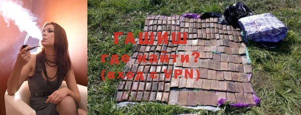 прущие грибы Бородино