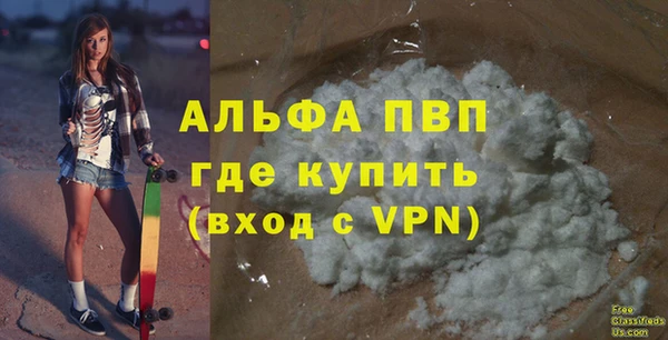 прущие грибы Бородино