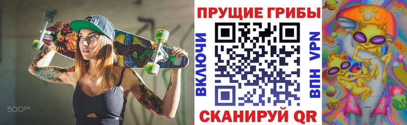 цена наркотик  это официальный сайт  Псилоцибиновые грибы GOLDEN TEACHER  Кировград 